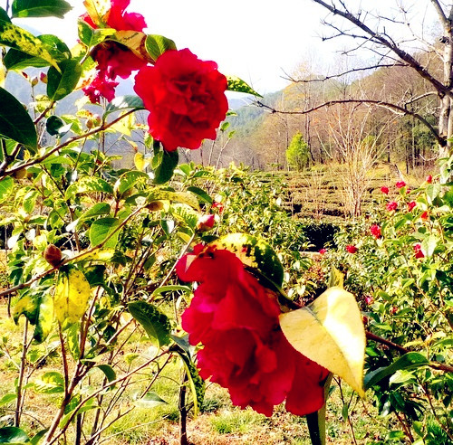 a543cc08d8f79f5df2879f81b15cae8654c4834332b0b-Y1AZUJ_fw658.jpg a543cc08d8f79f5df2879f81b15cae8654c4834332b0b-Y1AZUJ_fw658.jpg